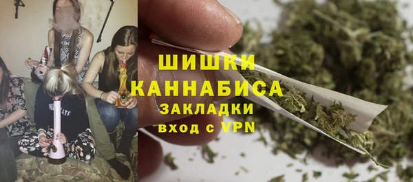 ALPHA PVP Няндома