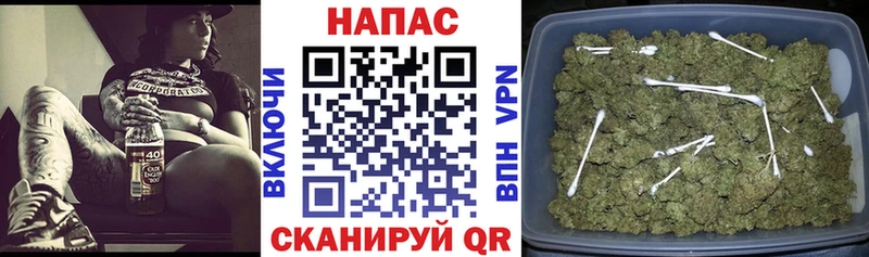 Бошки Шишки Amnesia Вельск